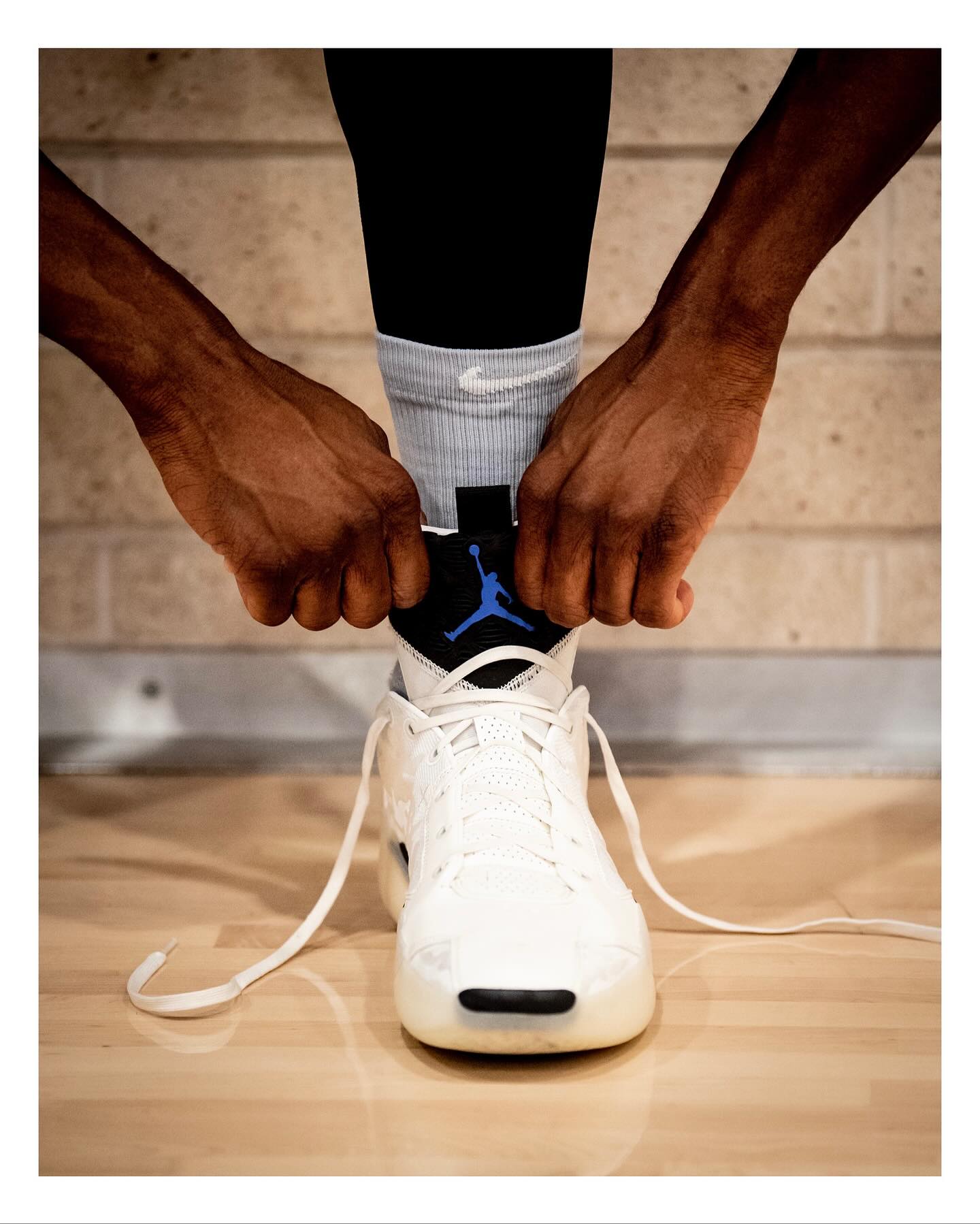 哈里森, src, entit