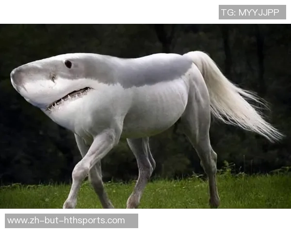 米亚托维奇：皇马的对手们闻到了血腥味，就像鲨鱼相同袭来